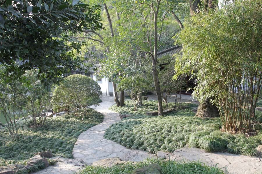 Впечатления о Шанхае. Живописный Zuibaichi Park