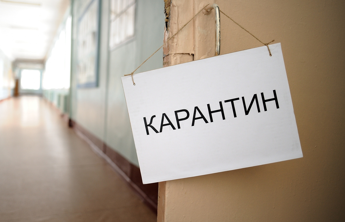 karantin.jpg