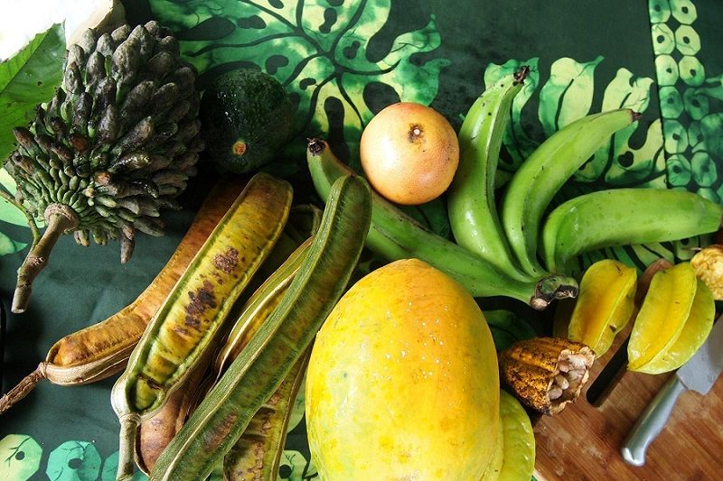 kohala-farm-tours-fruits.jpg