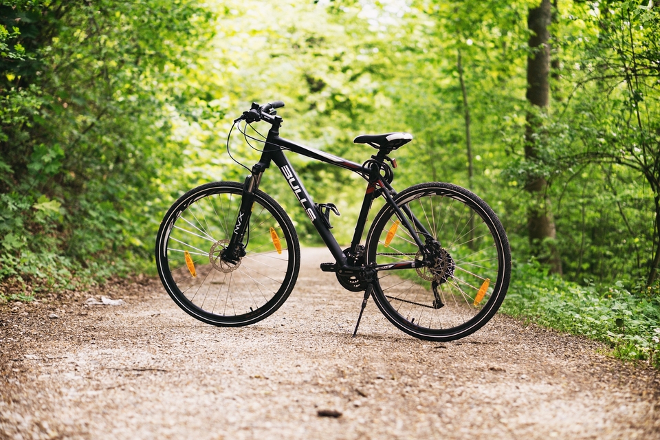 bicycle_forest.jpg