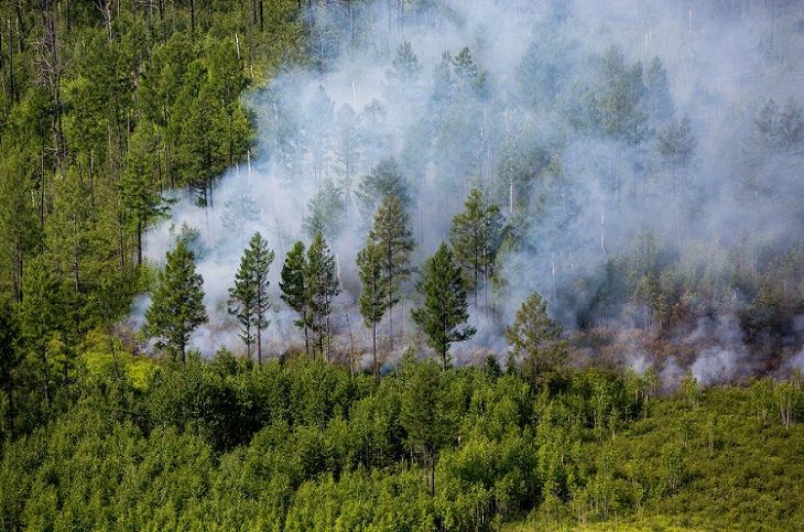 forest-fire.jpg
